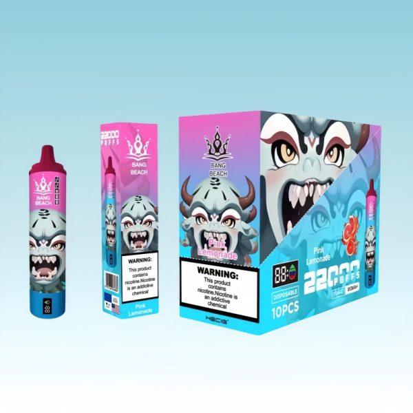 Bang Beach 22000 Puffs - 10Euro Vape