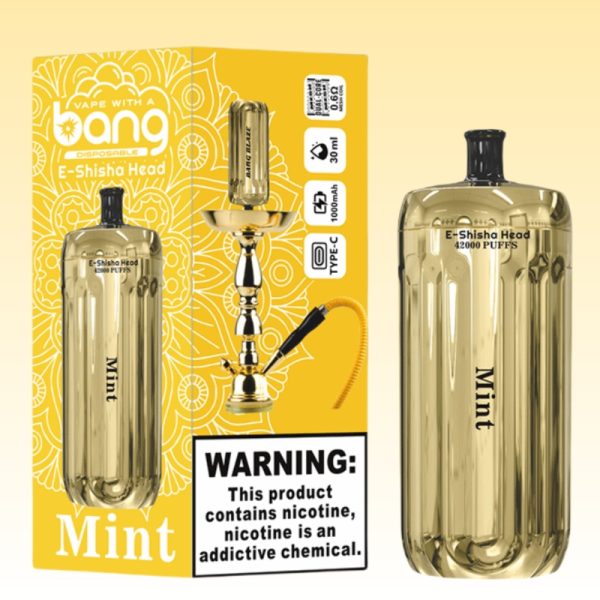 Bang Blaze 42000 Puffs - 10Euro Vape