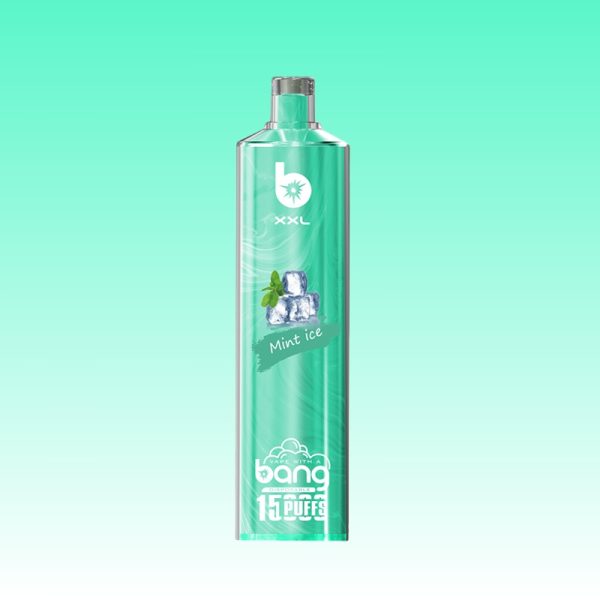 Bang XXL 15000 Puffs - 10Euro Vape