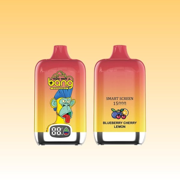 Bang 15000 Puffs - 10Euro Vape