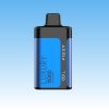 Fizzy Luxury 15000 Puffs - 10Euro Vape