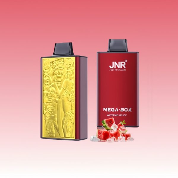 JNR Mega Box 25000 Puffs - 10Euro Vape