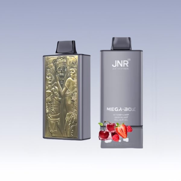 JNR Mega Box 25000 Puffs - 10Euro Vape