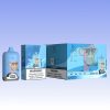 Fumot Digital Box 12000 Puffs - 10Euro Vape