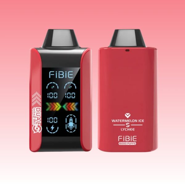 FIBIE 15000 Puffs - 10Euro Vape