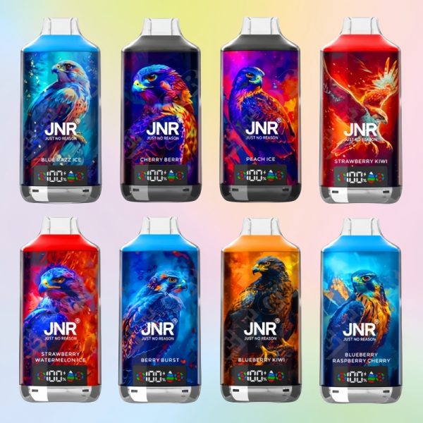 JNR Falcon-X 18000 Puffs - 10Euro Vape