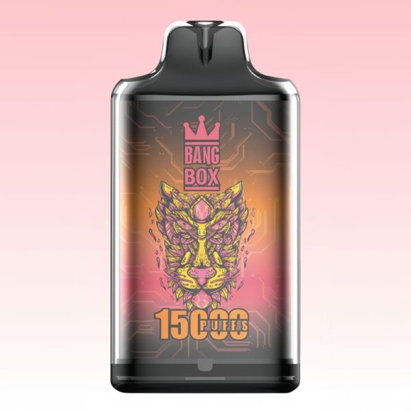 Bang Box S1 15000 Puffs - 10Euro Vape