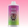 Bang Leader 20000 Puffs - 10Euro Vape