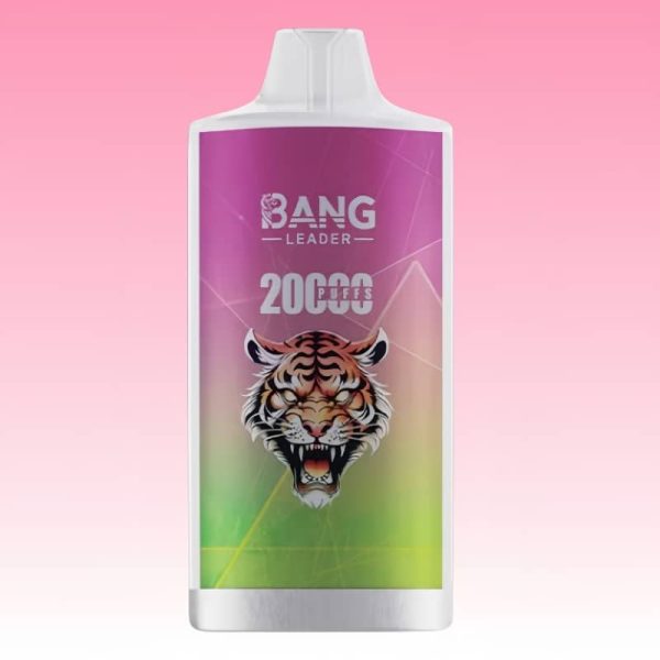 Bang Leader 20000 Puffs - 10Euro Vape