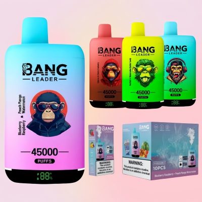 Bang Leader 45000 Puffs - 10Euro Vape