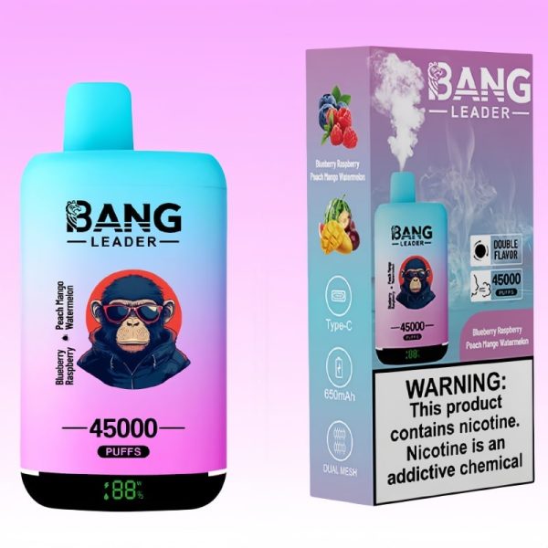 Bang Leader 45000 Puffs - 10Euro Vape