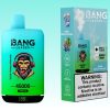 Bang Leader 45000 Puffs - 10Euro Vape