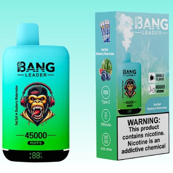 Bang Leader 45000 Puffs - 10Euro Vape