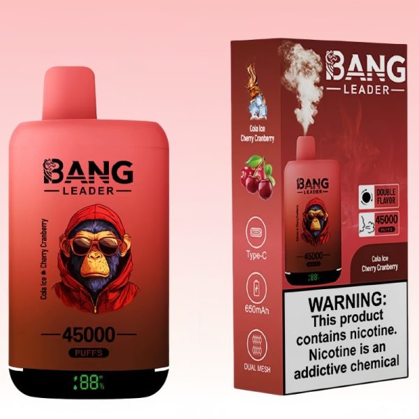 Bang Leader 45000 Puffs - 10Euro Vape