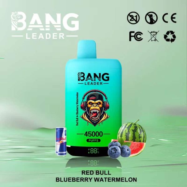 Bang Leader 45000 Puffs - 10Euro Vape
