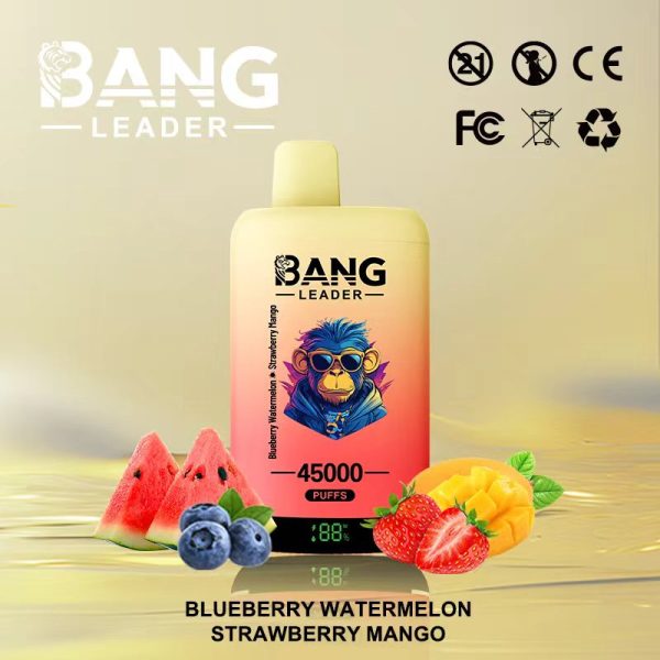 Bang Leader 45000 Puffs - 10Euro Vape