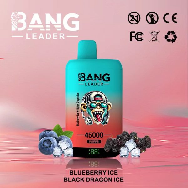 Bang Leader 45000 Puffs - 10Euro Vape