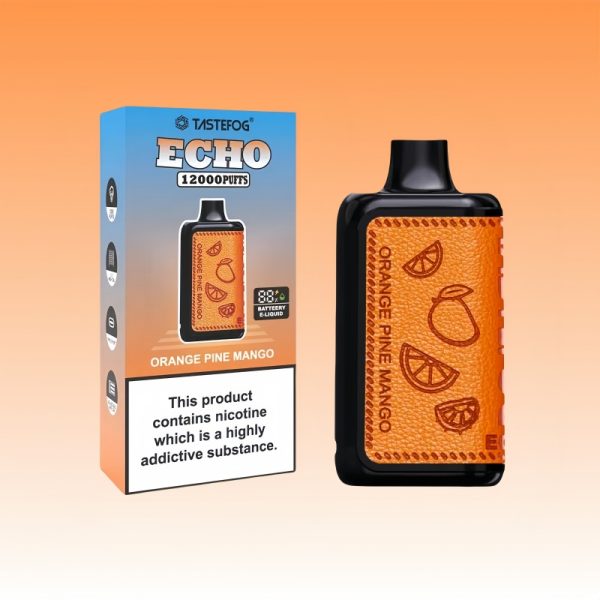 Tastefog Echo Digital Box 12000 Puffs - 10Euro Vape