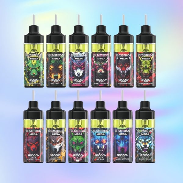 Tastefog Mega 12000 Puffs - 10Euro Vape