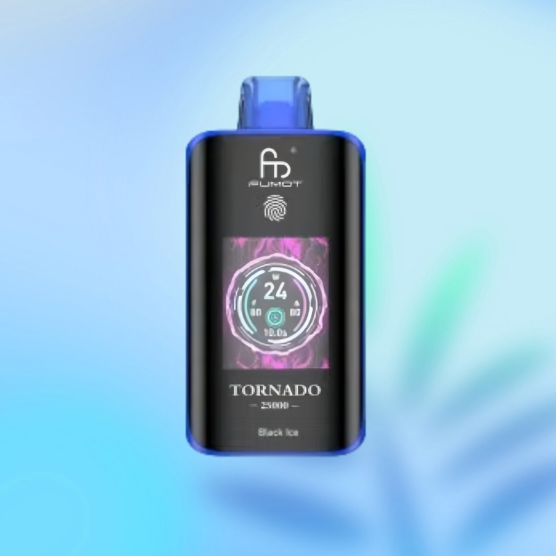 Randm Tornado 25000 Puffs | Price 15,99 | Wholesale