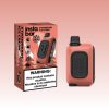 Insta Bar WT15000 Puffs - 10Euro Vape