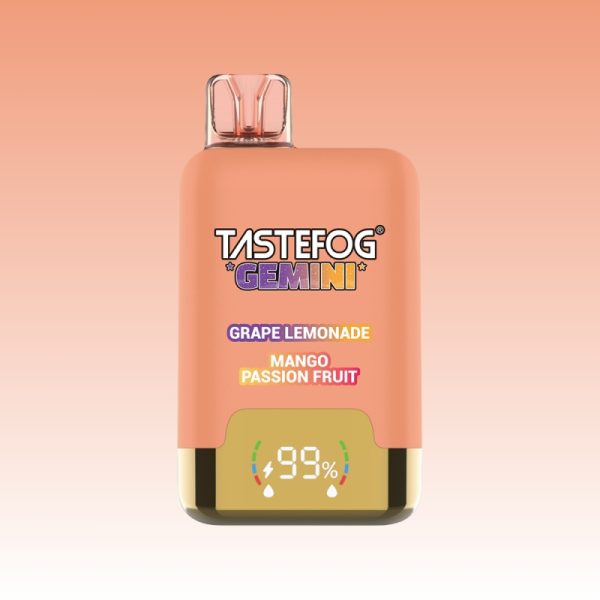Tastefog Gemini 25000 Puffs - 10Euro Vape