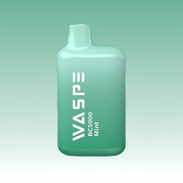 Waspe 5000 Puffs - 10Euro Vape