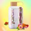 Vozol Star 40000 Puffs - 10Euro Vape