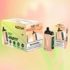 Razz Bar 45000 Puffs - 10Euro Vape