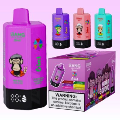 Bang Leader 300k Puffs - 10Euro Vape