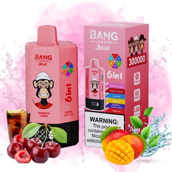 Bang Leader 300k Puffs - 10Euro Vape